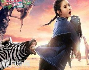 花儿与少年3背景音乐