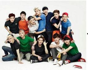 exo团体资料,璀璨星河中的东方魅力，揭秘K-pop天团成长之路