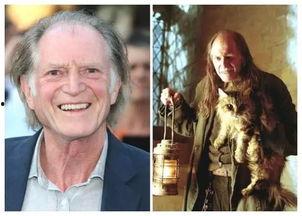 哈利波特从小到大照片,成长轨迹中的魔法瞬间